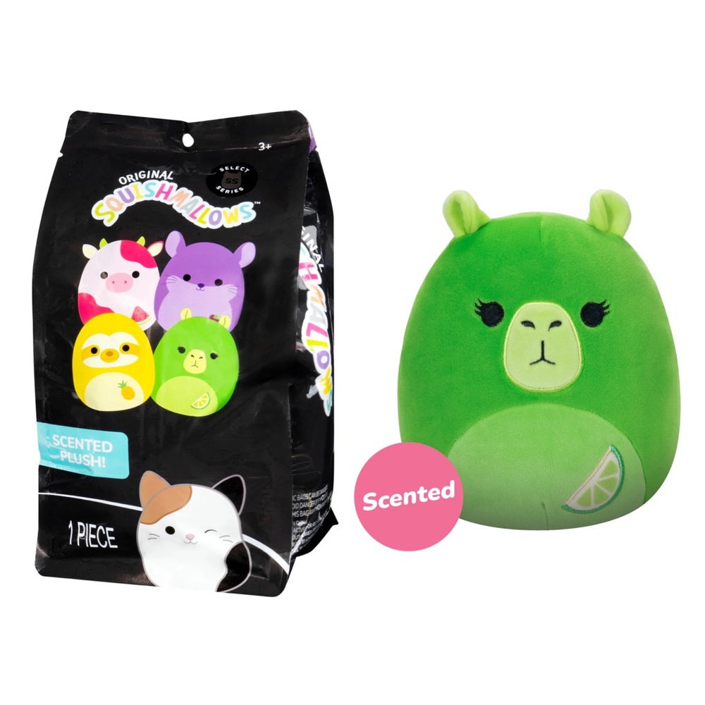 New 8” UNOPENED Madchen the Lime Scented Capybara Squishmallow - Select Series